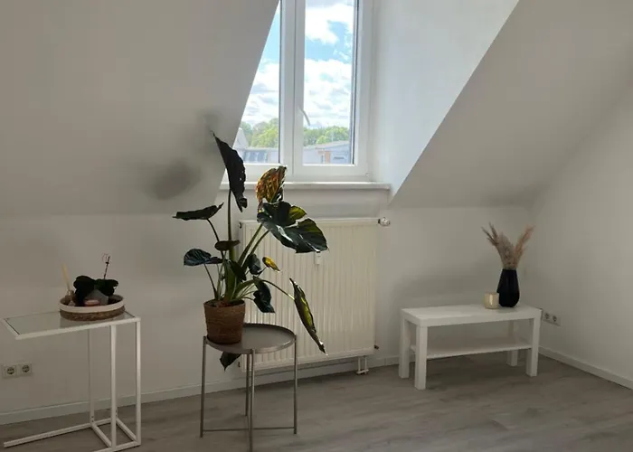 公寓 Cozy Work And Pretty 开姆尼茨